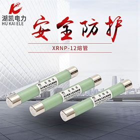 XRNP-12熔管